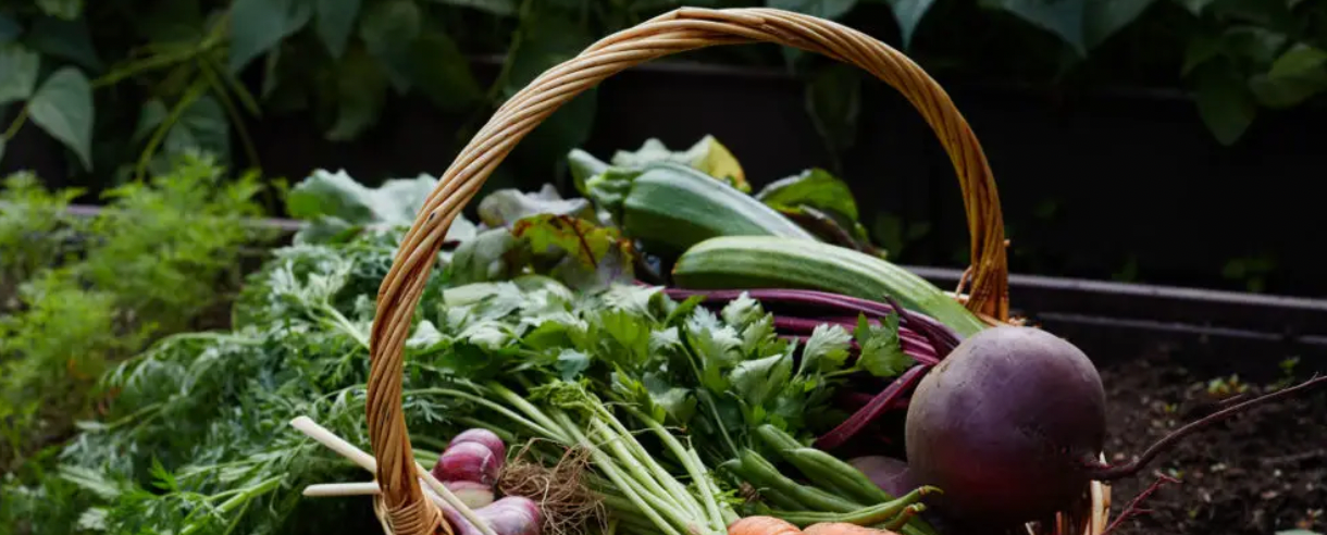 basket-of-farmers-market-fruits-and-veggies