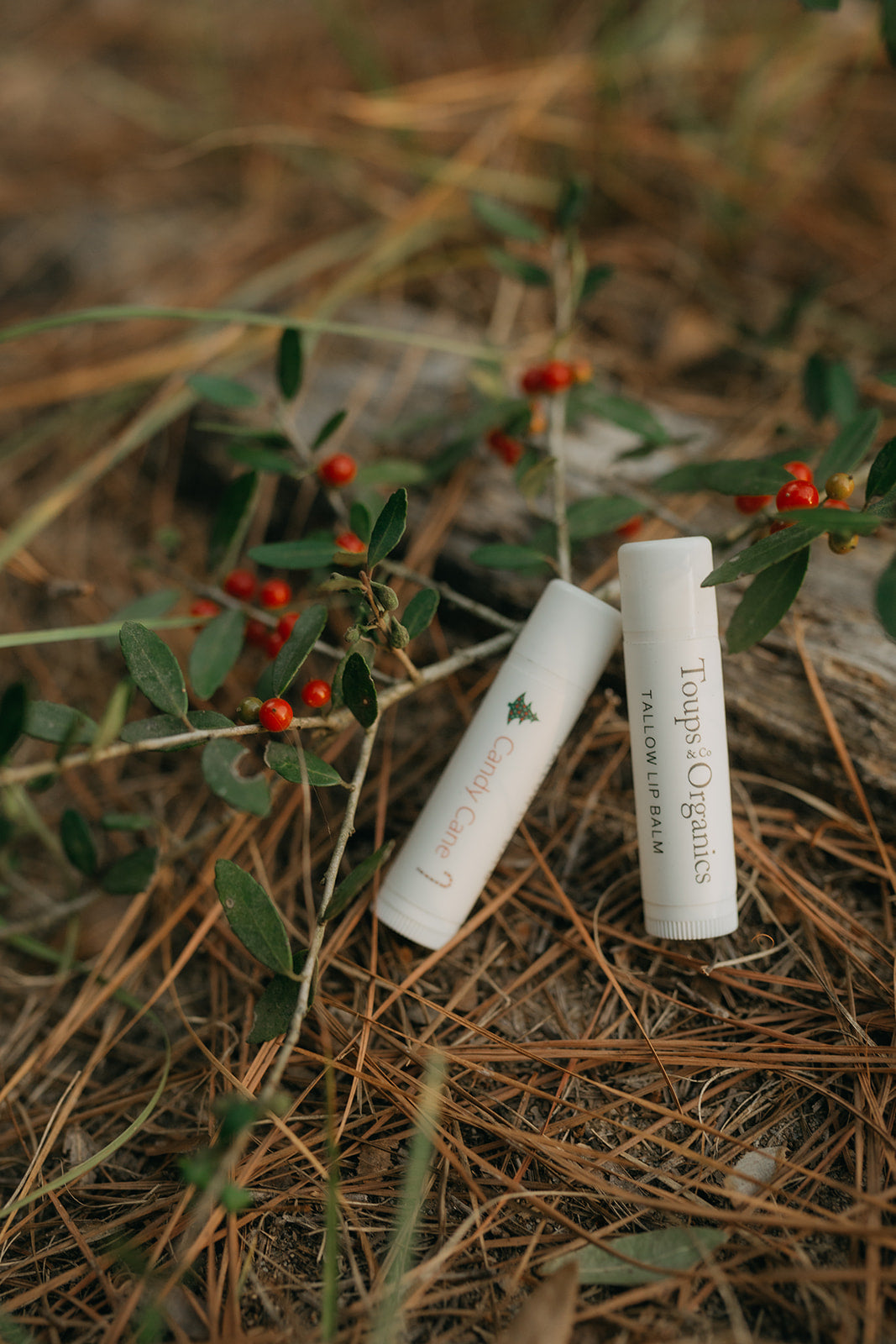 candy-cane-tallow-lip-balms-next-to-mistletoe