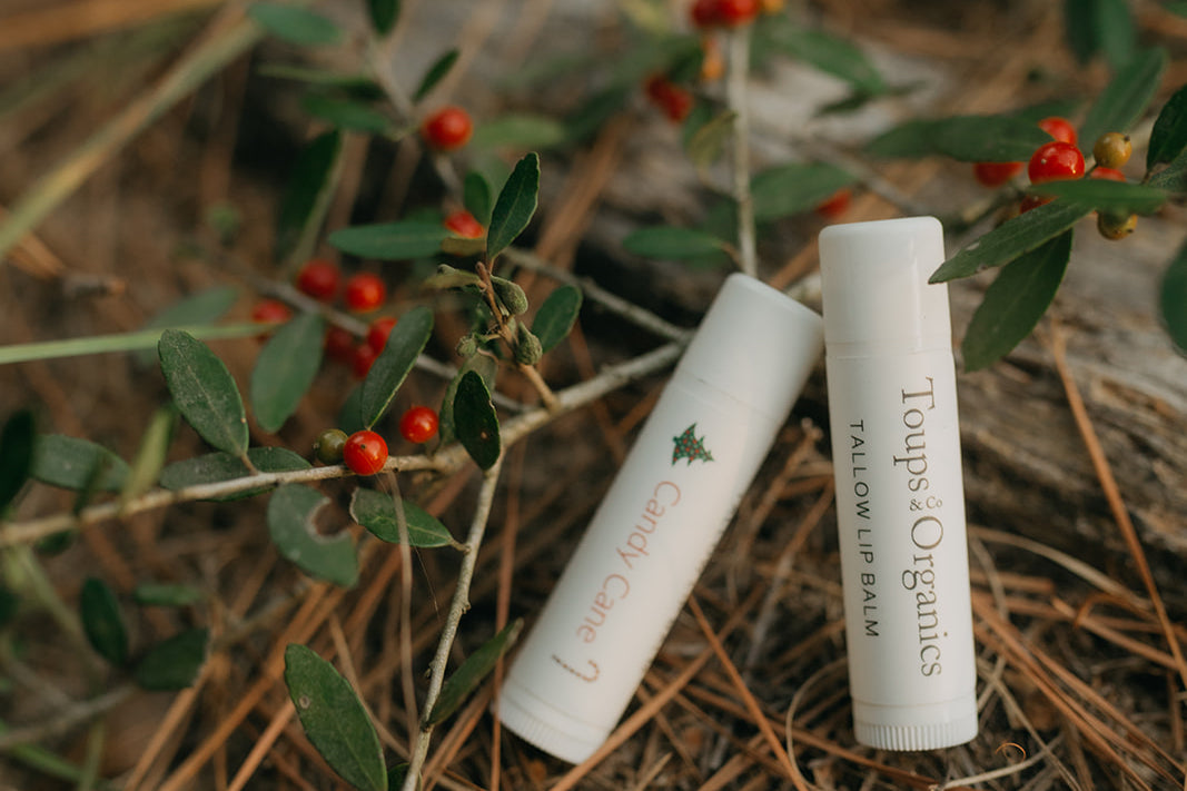 candy-cane-tallow-lip-balms-next-to-mistletoe
