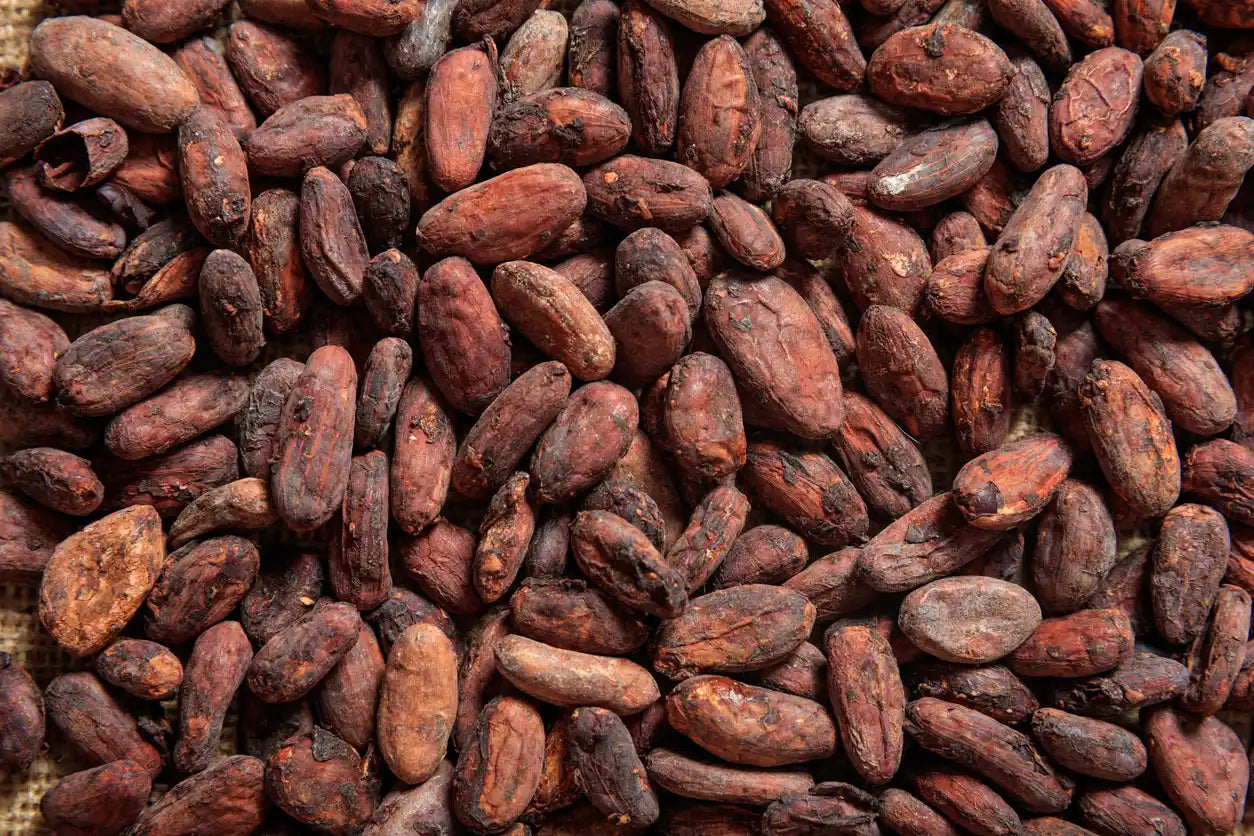 Cocoa Seed Butter