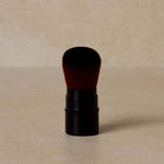 Toups & Co Dry Shampoo Brush