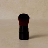 Toups & Co Dry Shampoo Brush