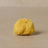 Toups & Co Facial Sea Sponge