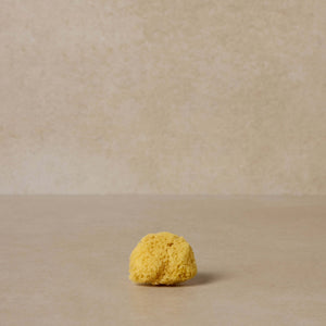 Toups & Co Facial Sea Sponge