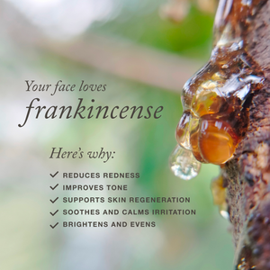 Frankincense resin on a tree trunk with text: Your face loves frankincense. Heres why: reduces redness, improves tone, supports skin regeneration, soothes and calms irritation, brightens and evens.
