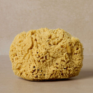 Toups & Co Natural Bath Sea Sponge