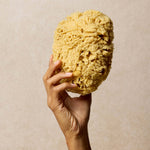 woman-holds-up-natural-sea-sponge-for-bath